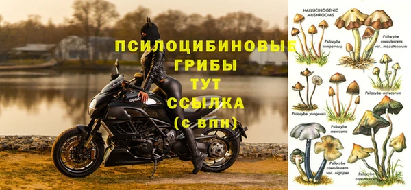 мяу мяу мука Армянск