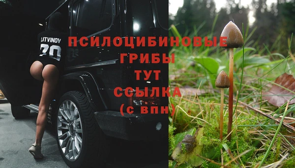 мяу мяу мука Армянск