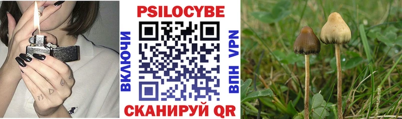 нарко площадка состав  Сланцы  Галлюциногенные грибы MAGIC MUSHROOMS  где купить  